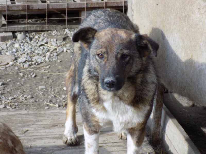 Schöne Jenna wartet schon lange!