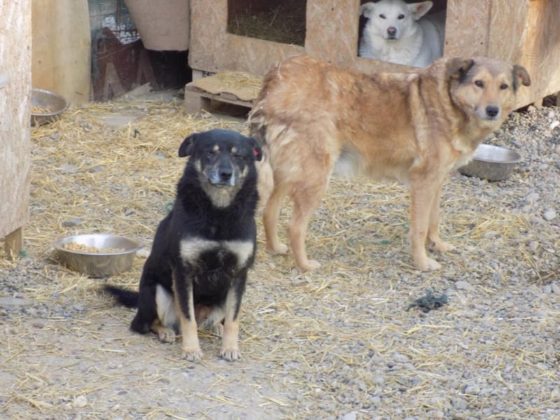 Kylie wartet aufs Wunder!