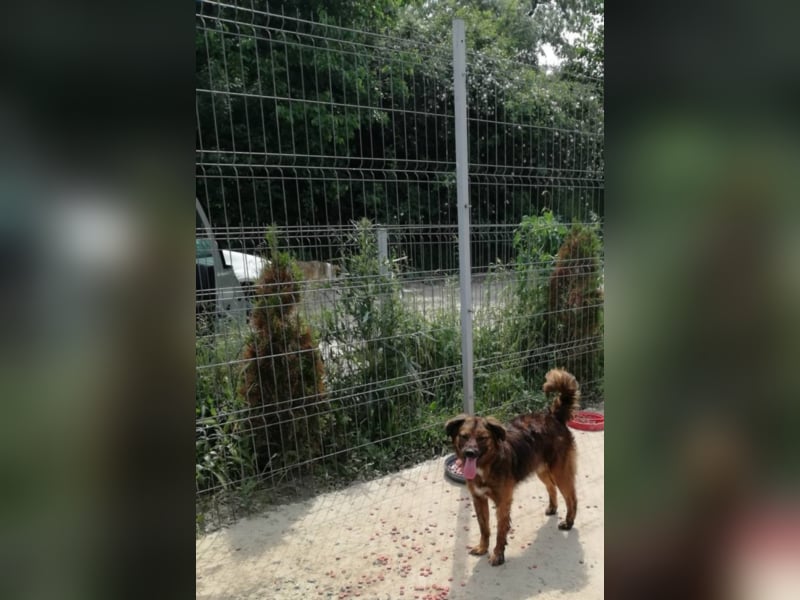 Toller Whisky wartet auf Dich!