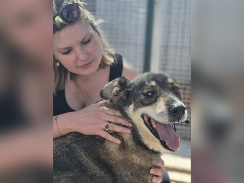 Ted - lieber, verschmuster Senior