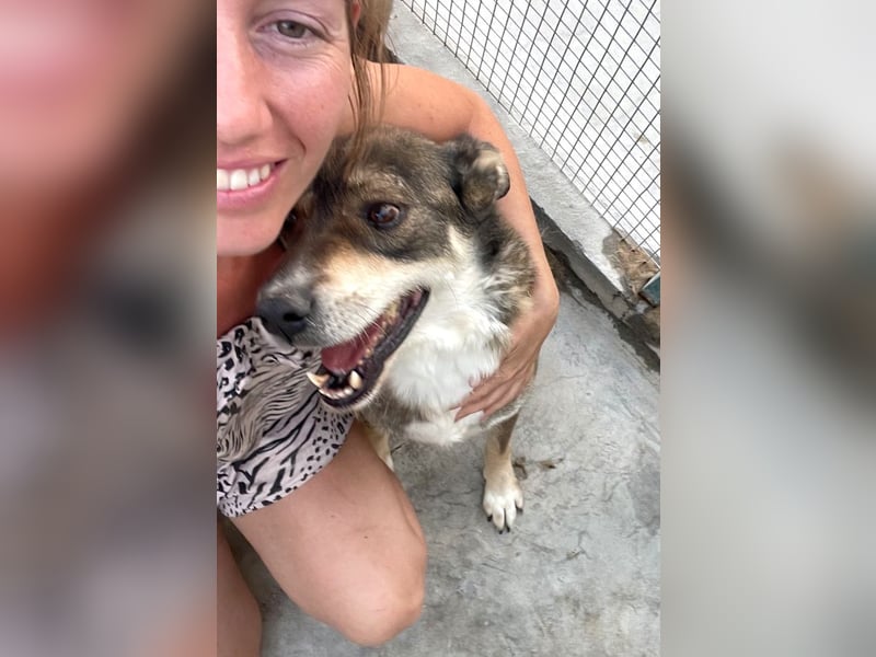 Ted - lieber, verschmuster Senior