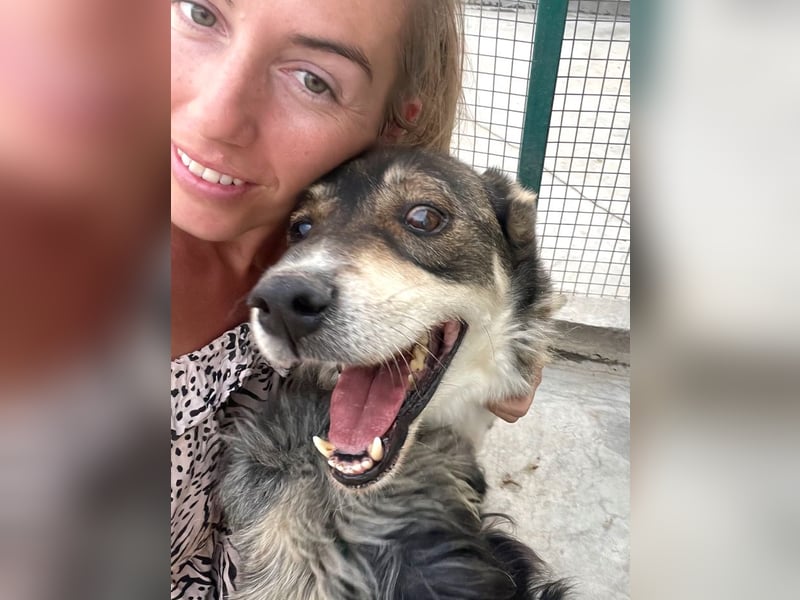 Ted - lieber, verschmuster Senior