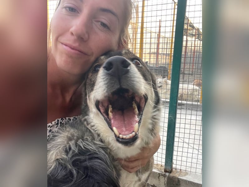 Ted - lieber, verschmuster Senior