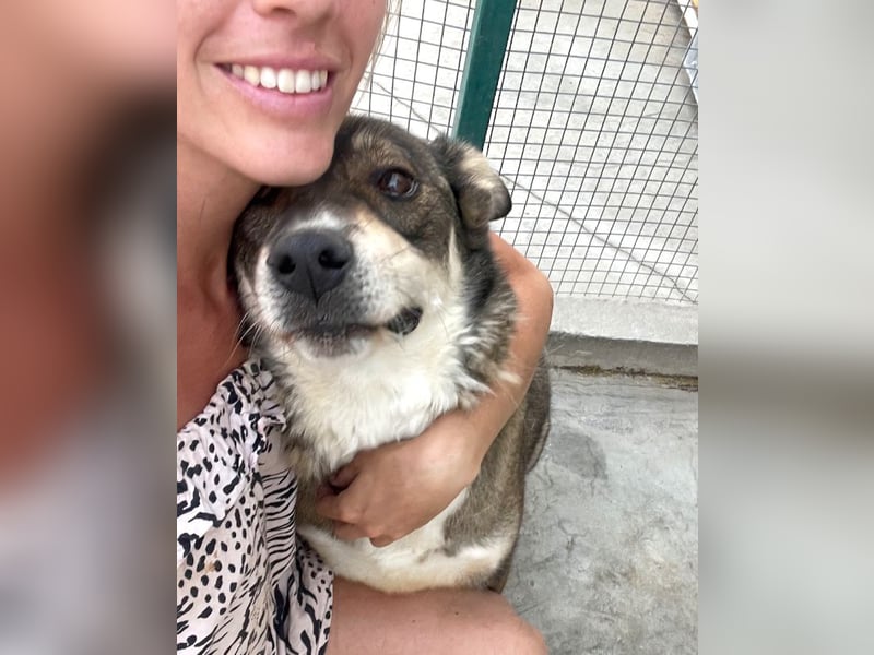 Ted - lieber, verschmuster Senior