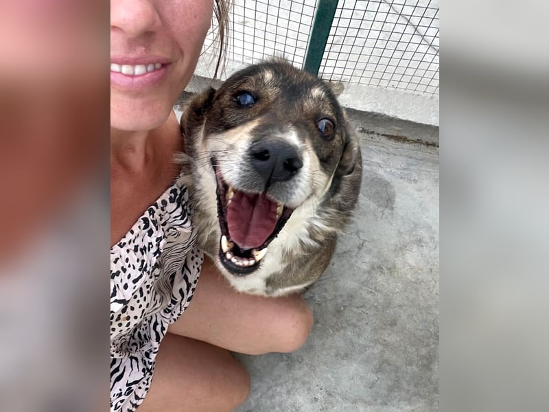 Ted - lieber, verschmuster Senior