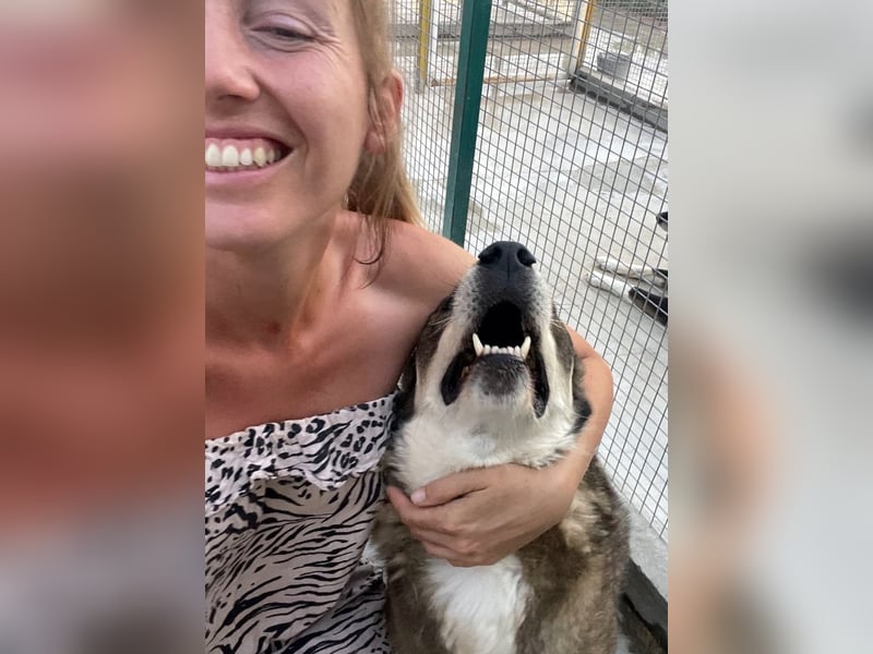 Ted - lieber, verschmuster Senior