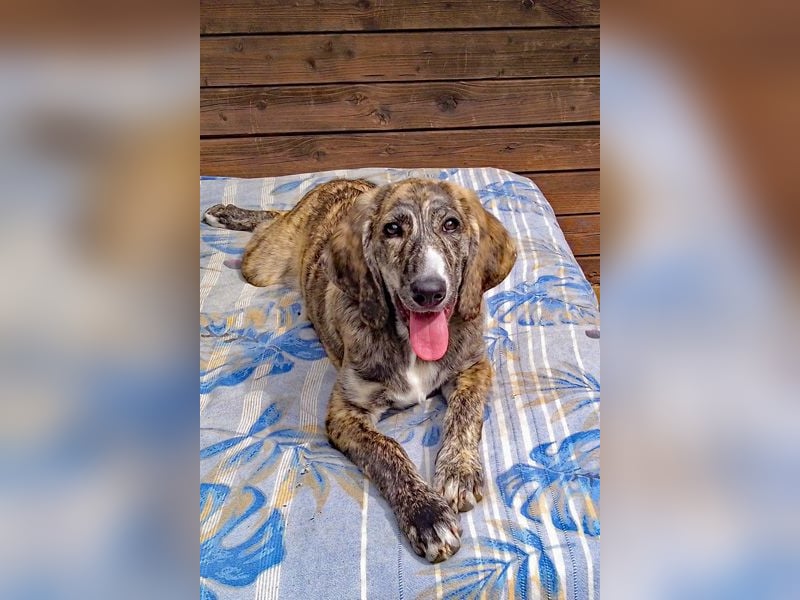 Perla, die kleine Perle!