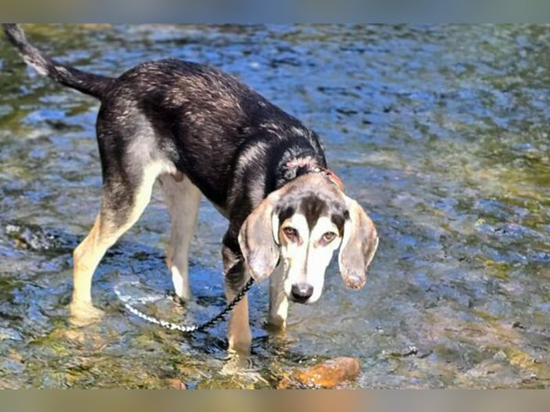 Emanuele warte auf Dich!