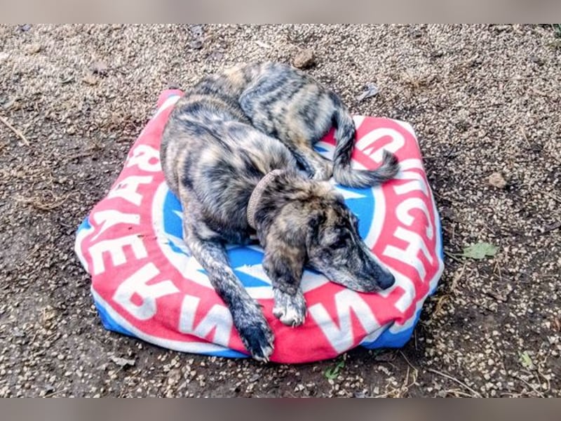 Perla, die kleine Perle!