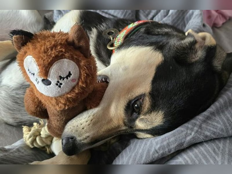 Emanuele warte auf Dich!