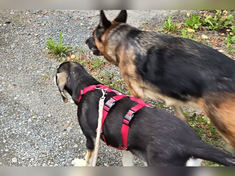 Emanuele warte auf Dich!