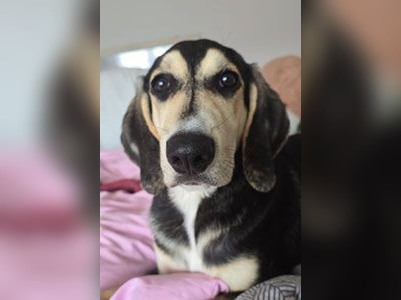 Emanuele warte auf Dich!