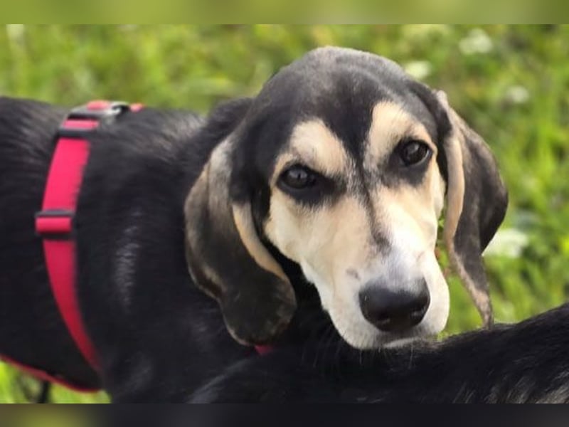 Emanuele warte auf Dich!