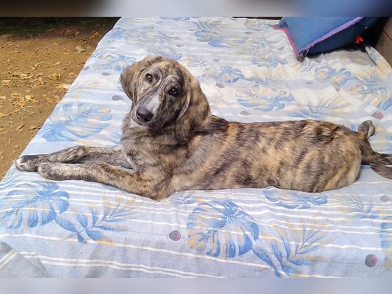 Perla, die kleine Perle!