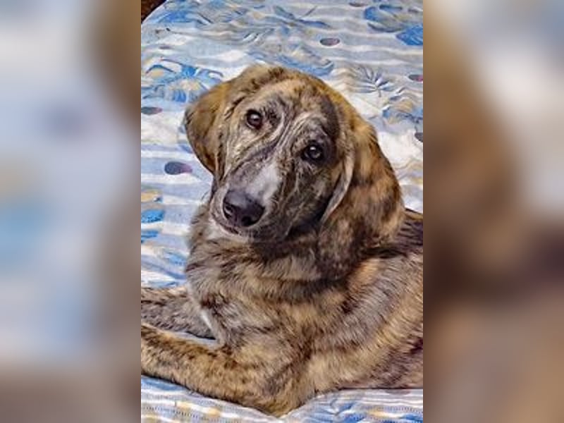 Perla, die kleine Perle!