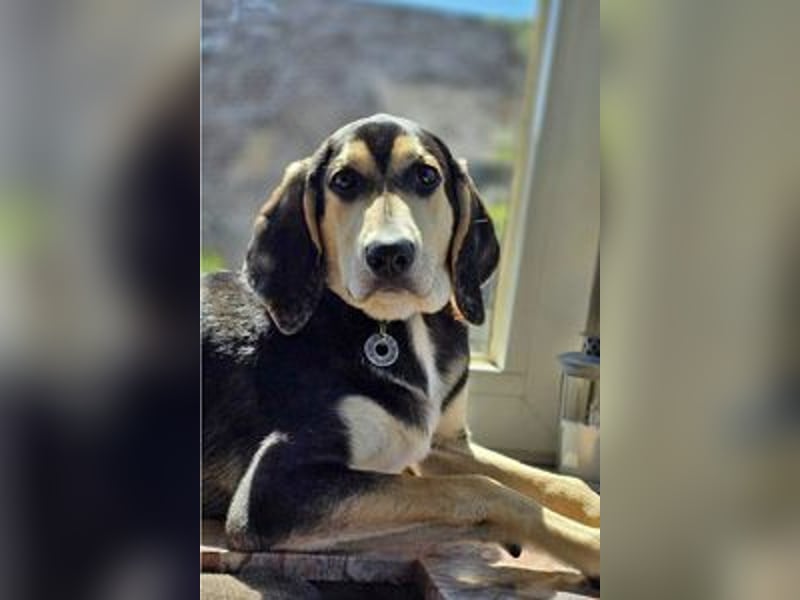 Emanuele warte auf Dich!