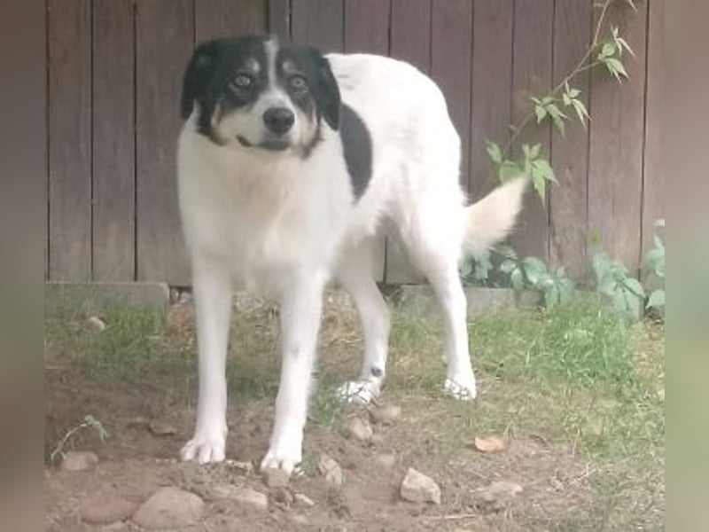 ängstliche JUNA sucht geduldige Menschen