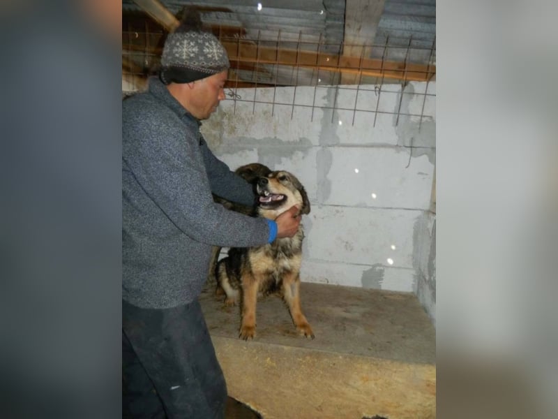 IHR NAME HAPPY LEIDER NUR SCHALL UND RAUCH ++ BISHER HATTE SIE KEIN GLÜCK ++ VIELLEICHT JETZT?