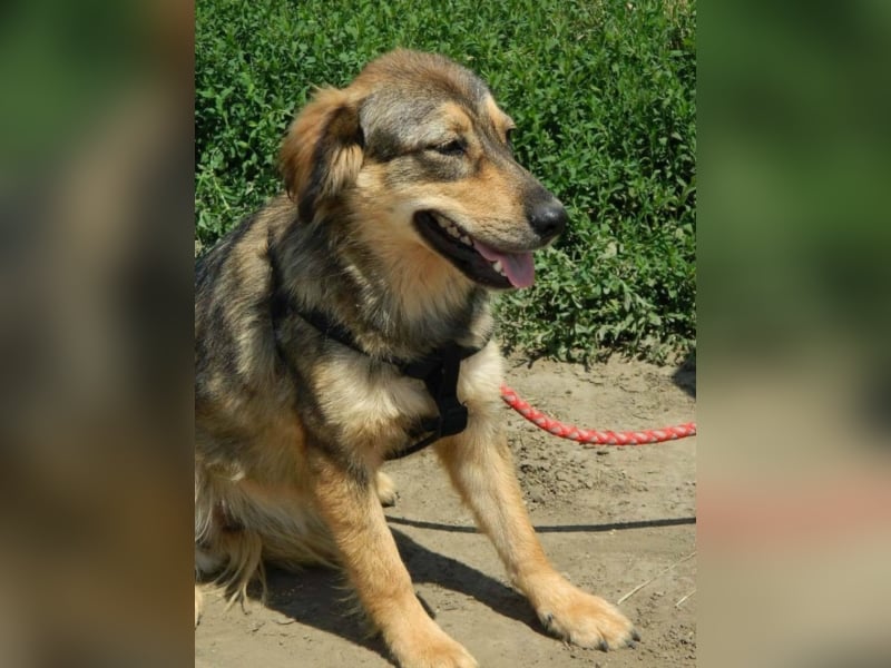 IHR NAME HAPPY LEIDER NUR SCHALL UND RAUCH ++ BISHER HATTE SIE KEIN GLÜCK ++ VIELLEICHT JETZT?