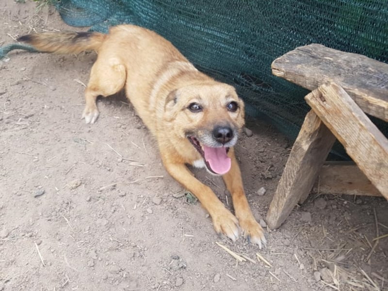 IM SCHNEE FAST ERFROREN ++ HERZENSWÄRME GESUCHT FÜR ZARA