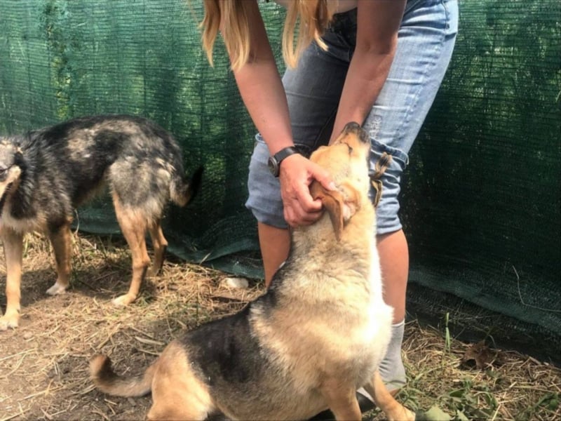 IM SCHNEE FAST ERFROREN ++ HERZENSWÄRME GESUCHT FÜR ZARA