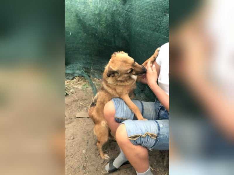 IM SCHNEE FAST ERFROREN ++ HERZENSWÄRME GESUCHT FÜR ZARA