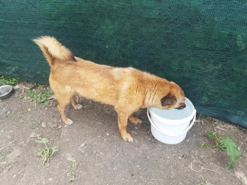 IM SCHNEE FAST ERFROREN ++ HERZENSWÄRME GESUCHT FÜR ZARA