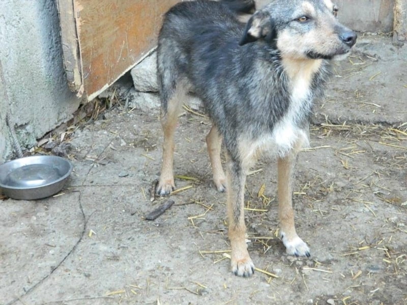 ZARTE SEELE BRAUCHT LIEBENDE MENSCHEN ++ CHARLOTTE SUCHT SCHON ZU LANGE