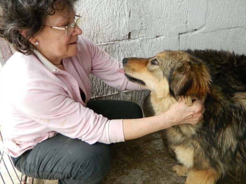 IHR NAME HAPPY LEIDER NUR SCHALL UND RAUCH ++ BISHER HATTE SIE KEIN GLÜCK ++ VIELLEICHT JETZT?