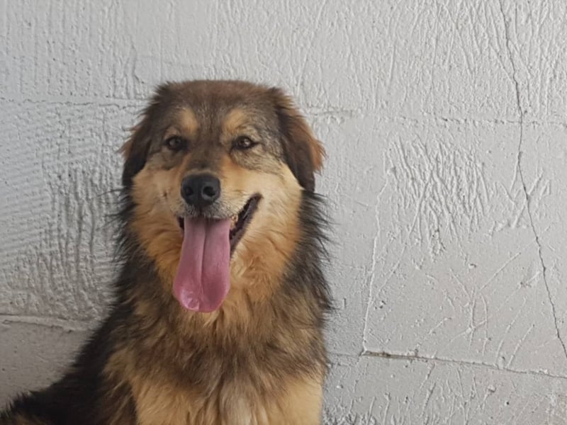 IHR NAME HAPPY LEIDER NUR SCHALL UND RAUCH ++ BISHER HATTE SIE KEIN GLÜCK ++ VIELLEICHT JETZT?