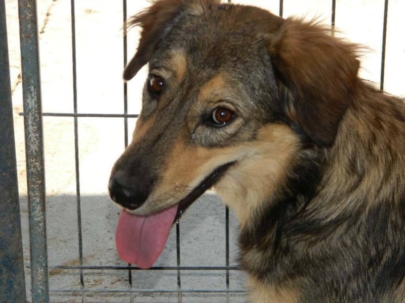 IHR NAME HAPPY LEIDER NUR SCHALL UND RAUCH ++ BISHER HATTE SIE KEIN GLÜCK ++ VIELLEICHT JETZT?