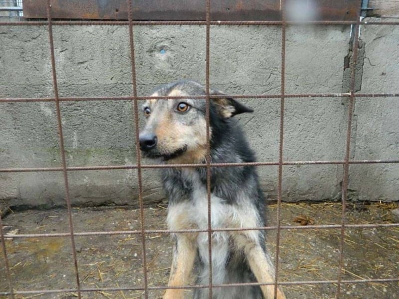 ZARTE SEELE BRAUCHT LIEBENDE MENSCHEN ++ CHARLOTTE SUCHT SCHON ZU LANGE