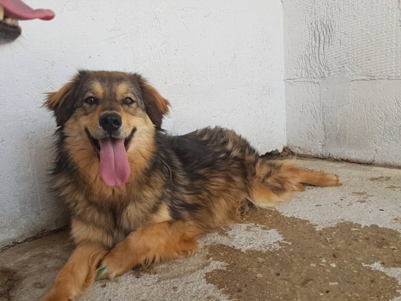 IHR NAME HAPPY LEIDER NUR SCHALL UND RAUCH ++ BISHER HATTE SIE KEIN GLÜCK ++ VIELLEICHT JETZT?