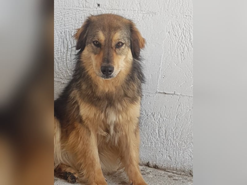 IHR NAME HAPPY LEIDER NUR SCHALL UND RAUCH ++ BISHER HATTE SIE KEIN GLÜCK ++ VIELLEICHT JETZT?