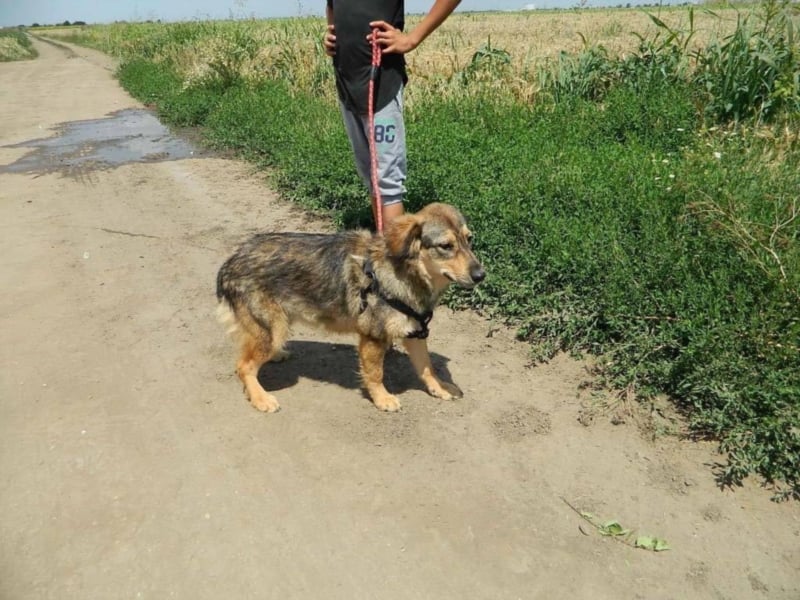 IHR NAME HAPPY LEIDER NUR SCHALL UND RAUCH ++ BISHER HATTE SIE KEIN GLÜCK ++ VIELLEICHT JETZT?