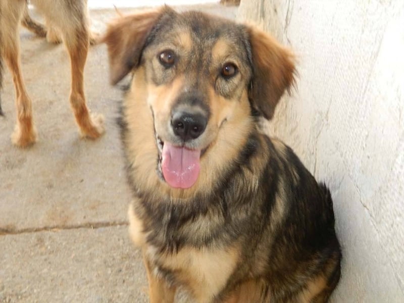 IHR NAME HAPPY LEIDER NUR SCHALL UND RAUCH ++ BISHER HATTE SIE KEIN GLÜCK ++ VIELLEICHT JETZT?