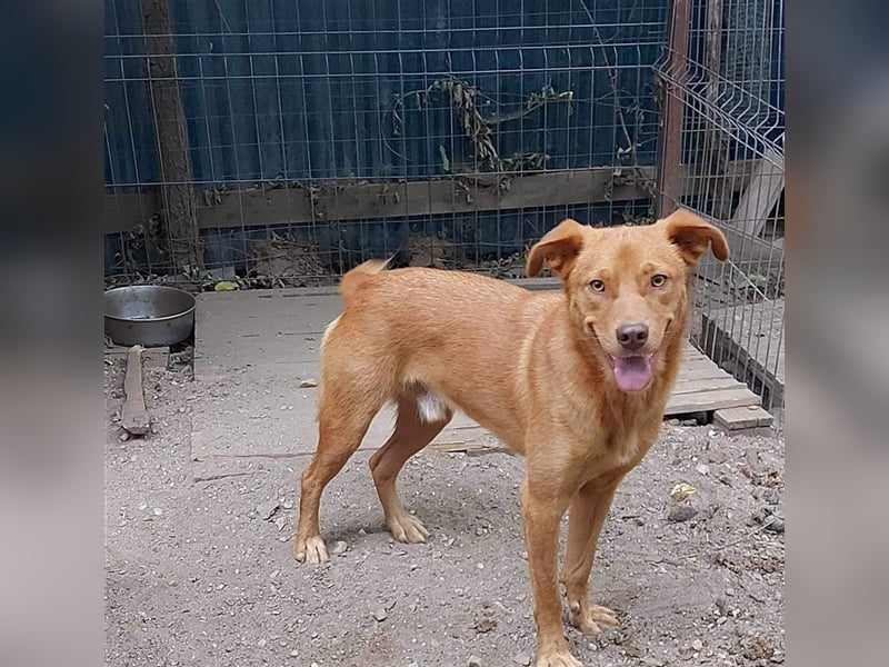 Greeg, ein ganz hübscher !