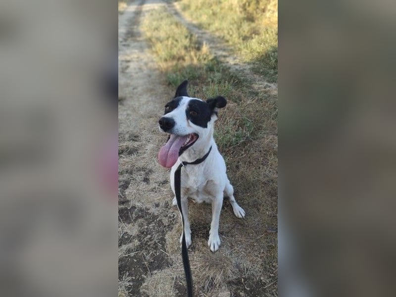 Elsa ❤️ zarte Seele auf der Suche nach ihrem Platz im Leben