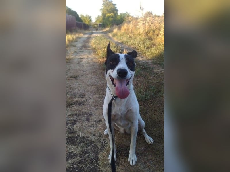 Elsa ❤️ zarte Seele auf der Suche nach ihrem Platz im Leben