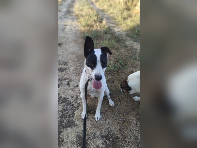 Elsa ❤️ zarte Seele auf der Suche nach ihrem Platz im Leben