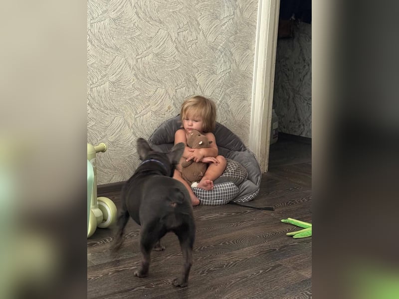 Liebevolle Hündin Bulya ❤️ sucht fürsorgliches Zuhause