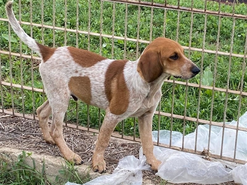 Nino- auf der Suche nach seinen Menschen