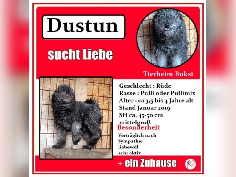 Dustun