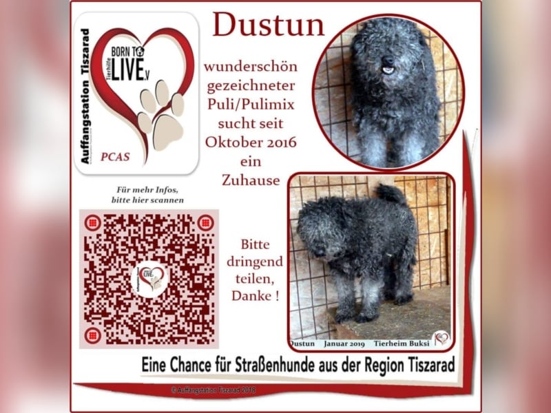 Dustun