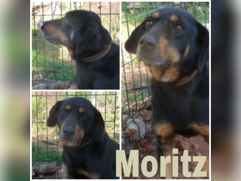 Moritz sucht seine Familie