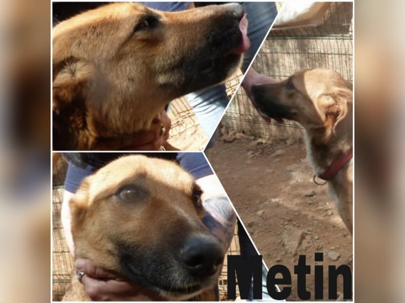 Metin sucht seine Familie