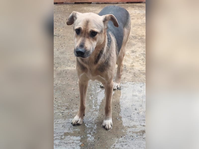 Barney, sucht Menschen mit Erfahrung