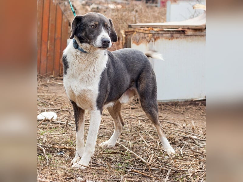 Tyson, kommt aus traurigen Verhältnissen und möchte das ändern