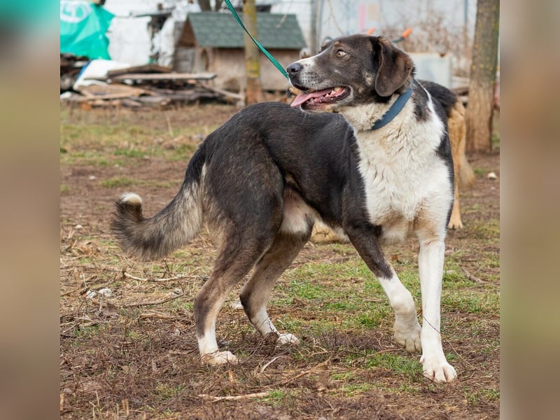 Tyson, kommt aus traurigen Verhältnissen und möchte das ändern