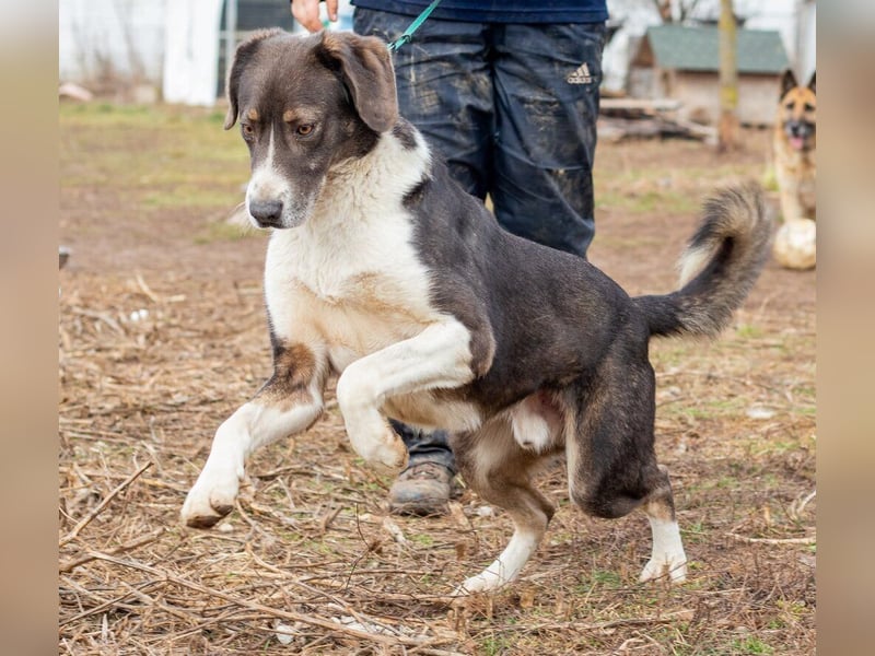 Tyson, kommt aus traurigen Verhältnissen und möchte das ändern
